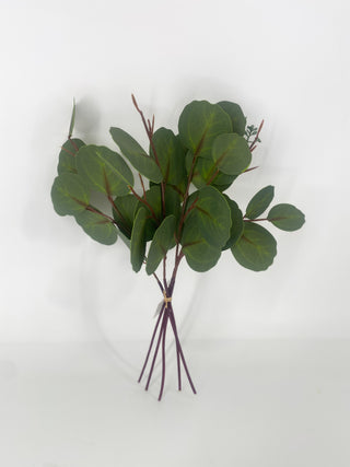 Eucalyptus Bundle 13" Green
