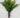 Saw Fern Bush Green 18.5"