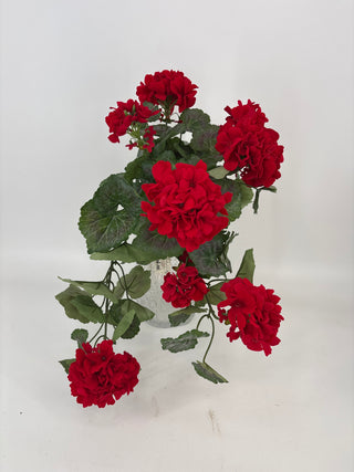 Geranium Hanging Bush UV Red 22"