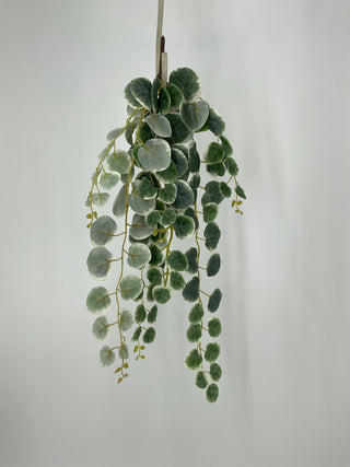 Henna Hanging Bush 22”
