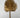 Fan Palm Leaf Metallic Spray Gold 38"