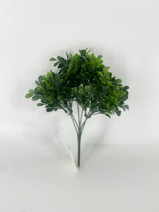 UV Boxwood Bush 10"
