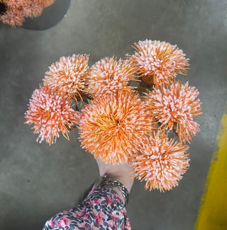 Thistle Bundle Orange 14.5"