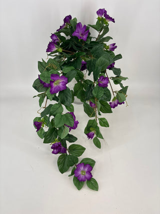 UV Petunia Hanging Bush Purple 33"