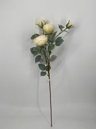 Rose Spray Beige 28"