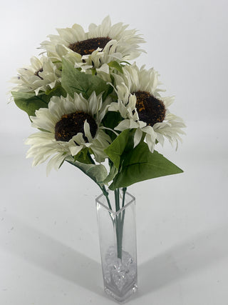 Sunflower Bush Cream