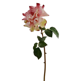Full, Open Dutchess Rose Stem Pink 20"