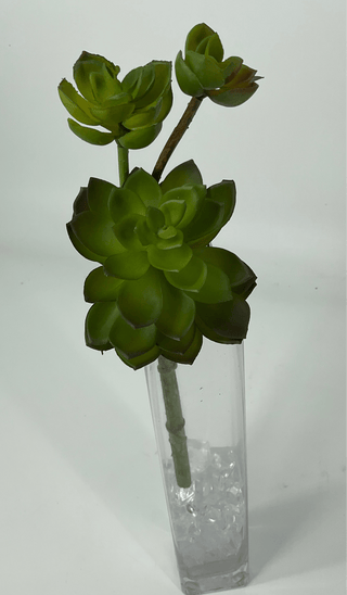 Succulent Stem 9"