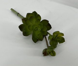 Succulent Stem 9"