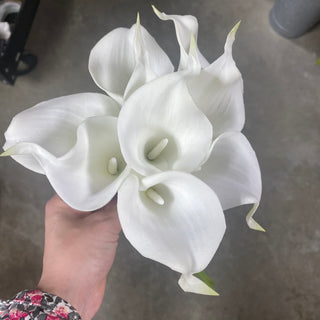Calla Lily Bundle (x9) White 12"