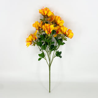 Delonix Spray Yellow 19"