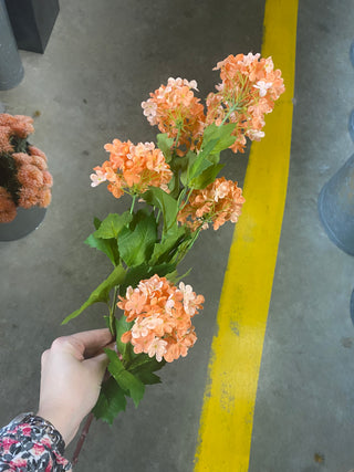 Snowball Hydrangea  Spray Coral