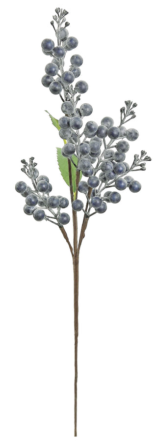 Berry Spray Blue 22"