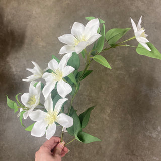 Clematis Spray Cream 34"