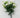 Carnation Bush Cream 18”