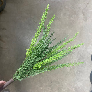 Fern Bush Green 16"