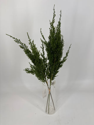 Pine Bundle Green 25"