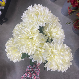 Ball Mum Bush Cream