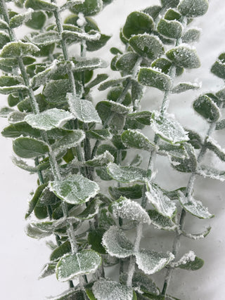 Snow Eucalyptus Bush x7 Green 21"