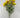 Sunflower Bush Yellow 22"