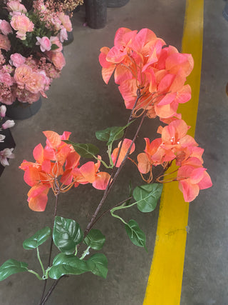 Bougainvillea Spray Coral 40"