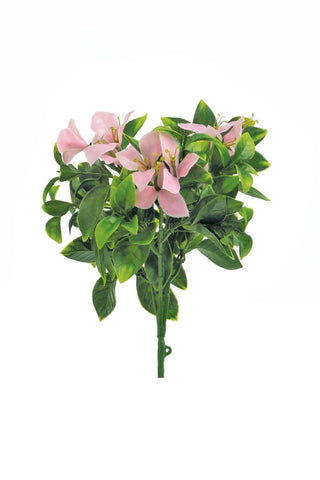 UV Bougainvillea Bush Pink 11.8"