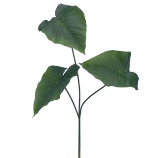 Anthurium Spray 24"