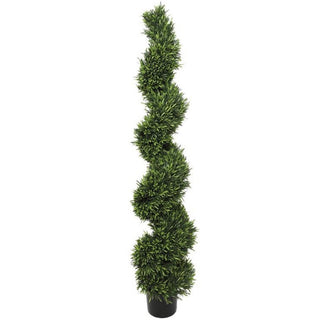 UV Rosemary Spiral 5'