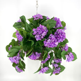 Hydrangea Lavender UV Hanging Basket