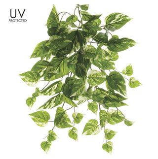UV Protected Pothos Bush Green-Cream 19"