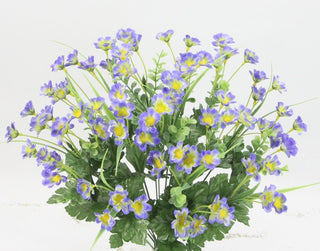 Daisy Bush Blue