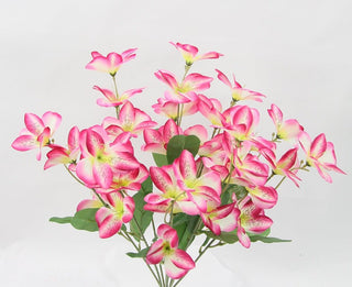 Alstroemeria Bush 22"