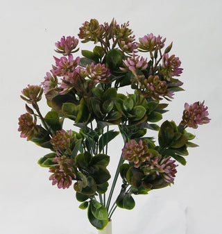 Crown Vetch Bush 17.5