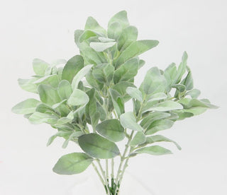 Lamb's Ear Bush 18"