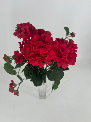 Geranium Flower Bush x12 Red