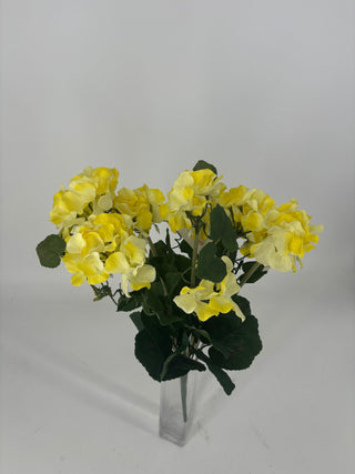 Geranium Flower Bush x12 Yellow