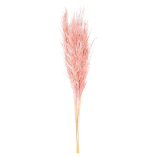 Dusty Rose Pampas Grass 46"