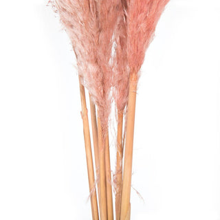 Dusty Rose Pampas Grass 46"