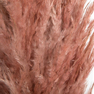 Dusty Rose Pampas Grass 46"