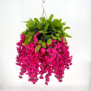 Wisteria Beauty Hanging Basket