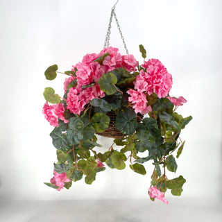 Geranium Pink Hanging Basket