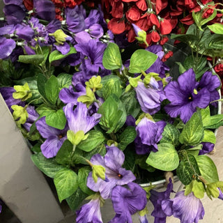 Petunia Hanging Bush 22" Purple