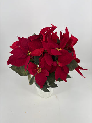 Burgundy Poinsettias in Mache