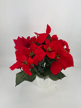 Red Poinsettias in Mache