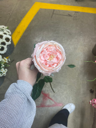 Real Touch Austin Rose Stem Peach 24"