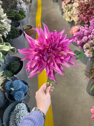 Flame Dahlia Stem Fuchsia 28"