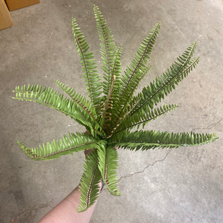 UV Narrow Fern 19"