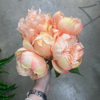 Peony Bundle Light Coral 10"