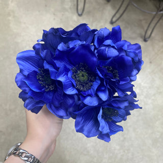 Anemone Bundle X6 Blue  12"