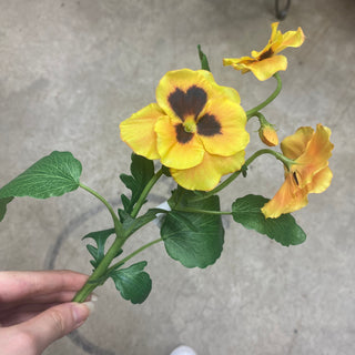 Pansy Spray Yellow-Gold 13.5"